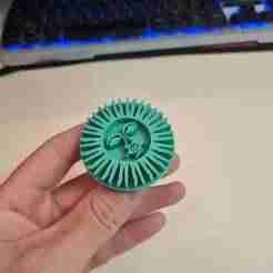 seal / marker of the Sol de Argentina