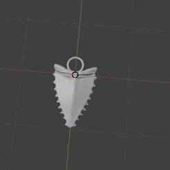 Sharktooth keychain/necklace