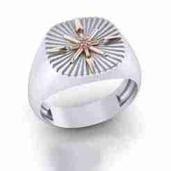 signet jewelry man ring