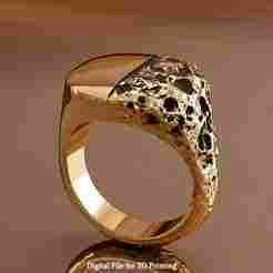 Signet Ring Sculptural Jewelry Design