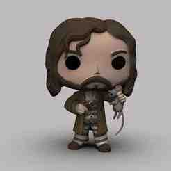 Sirius Black with worm tail Funko