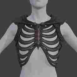 ☠️ Skeleton Rib Cage Chest Armor