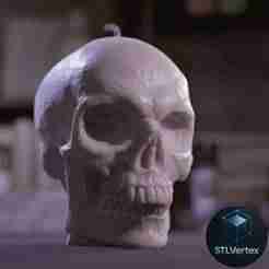 Skull – 3D Printable Model