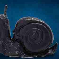 🐌💀 Skull Snail