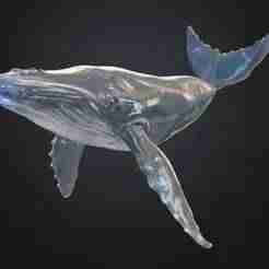 Sperm Whale