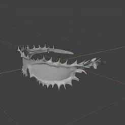 Spineframes Glasses