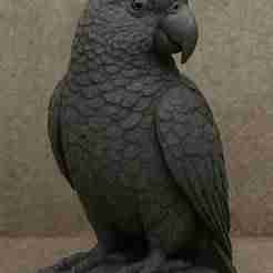 Stone Sculpture of an Amazon Parrot