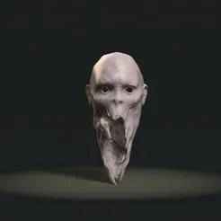 The Blight Mask From Dead By Daylight
