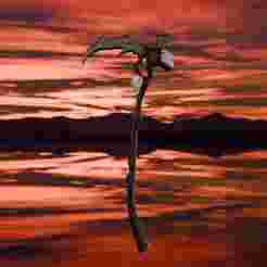 The reaper's scythe from Sims medieval