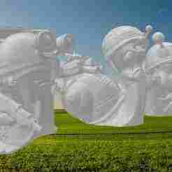 The snail war