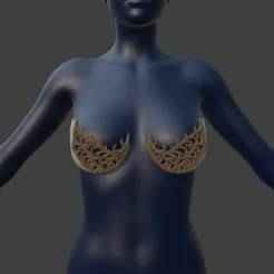 Thornlace Bra Cups