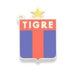Tiger keychain