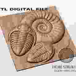 Trilobite and Ammonite Fossils – Prehistoric Relief – 3D STL Model