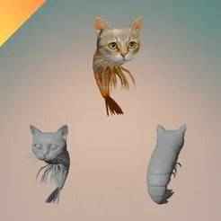 Trippi Troppi 3D Model STL – Cursed Cat Shrimp Hybrid for 3D Printing Italian Brainrot Collectors