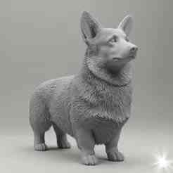 Welsh Corgi Pembroke in 3D model style