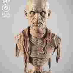 WICKED MOVIES MUMMY PORTRAIT BUST: TESTED AND READY FOR 3D PRINTING
