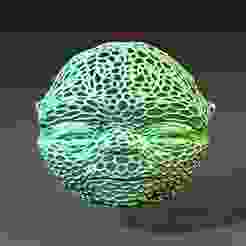 Yoda Mask voronoi