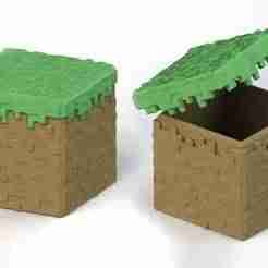 Minecraft Grass Block Container