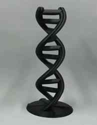 DNA Double Helix