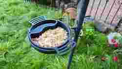 Bird Bath Feeder Nut Tray