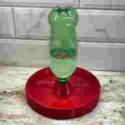 cat water bowl