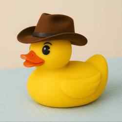 Cowboy duckies