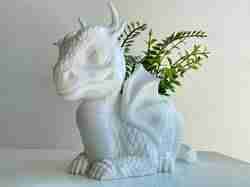 EJDERHA PLANTER