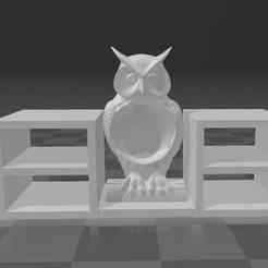 Alexa owl support