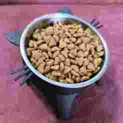 Raised Cat Feeder