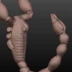 Scorpio Voluptas Sex toy