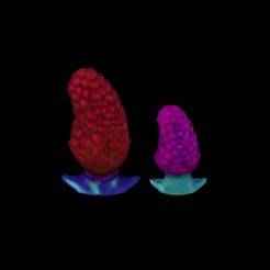 set raspberry dildo