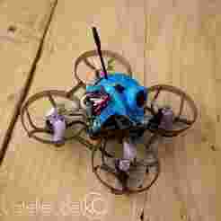 Utra light 30° tilt Tinywhoop/toothpick canopy for Walksnail 1S nano camera