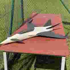 X3-16 50mm-EDF Speed-Jet Easy a slow and fast fun jet, easy build with connectors!