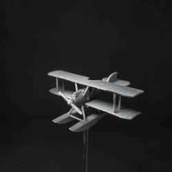 SEAPLANE Albatros W4 (WW1, Germany)