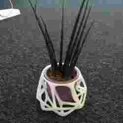 Parametric Flowerpots