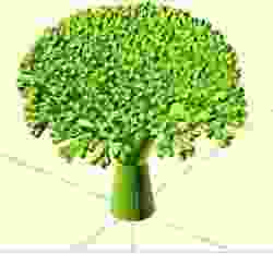 Recursive Broccoli