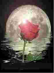 2 em 1 Vaso e Suporte Alexa Echo Dot 4a e 5a Geração Moon shaped Flower Vase