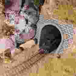 [ZM H0 scale] Tunnel portal (FDM)
