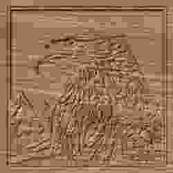 Bald Eagle 1