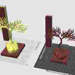 Bonsai