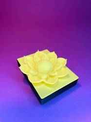 Lotus jewelry organizer & gift box