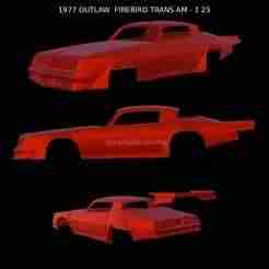 1977 OUTLAW  FIREBIRD TRANS AM - 1 25
