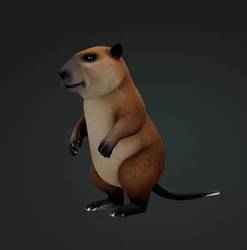 Capybara 3D Model Realistic Animal capibara