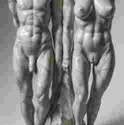 Duality in Marble: Two Headless Figures Embody Harmonious Balance Between Muscular Strength and Soft Feminine Curves on a Rustic Base