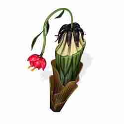 FANTASY Orchid FLOWER SUNFLOWER PLANT GARDEN FURNITURE FOREST NATURE FRUIT APPLE LEAVES MAGIC MEDIEVAL PEAR TOMATO PREHISTORY FANTASY VEGETABLE 3