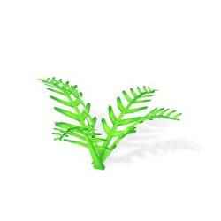 Filicopsida Orchid FLOWER SUNFLOWER PLANT GARDEN FURNITURE FOREST NATURE FRUIT APPLE LEAVES MAGIC MEDIEVAL PEAR TOMATO PREHISTORY FANTASY VEGETABLE