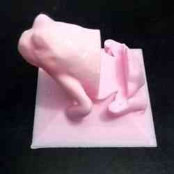 Frog cell phone holder