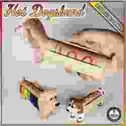 Hot Dogshund Fidget Spinner Hot Dog - Commercial Use