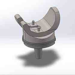 knee prosthesis