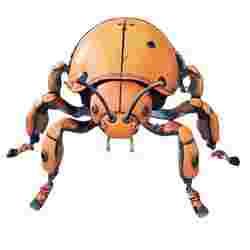 Orange Robotic Beetle